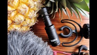 Review Testing RODE VideoMicro microphone with FujiFilm XT20 Camera [upl. by Rutger534]