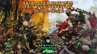 Beastmen Brayherds vs Dwarfen Mountain Holds Warhammer the Old World Battle Report 1 [upl. by Ydnec661]