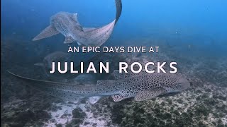 Scuba Diving Julian Rocks with INCREDIBLE Marine Life  Byron Bay  4K [upl. by Kaufmann]