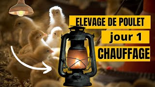 Comment reussir le chauffage de poussins premier jour [upl. by Granese]