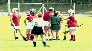 1995 Derry Intermediate Camogie Final  Dungiven v Ballerin [upl. by Trahurn]