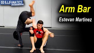 Armbar by Estevan Martinez [upl. by Mis145]