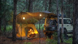 Coziest RAIN CAMPING in a Pine Forest  SOLO Relaxing in a Tent and Tarp shelter ASMR [upl. by Enelehs]