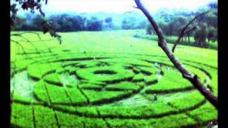 Indonesia crop circles  Sleman Yogyakarta  UFO [upl. by Ediva]