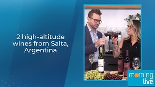 2 highaltitude wines from Salta Argentina [upl. by Lashoh877]