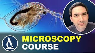 Introduction to microscopy 🔬 MICROSCOPY COURSE [upl. by Calvo]