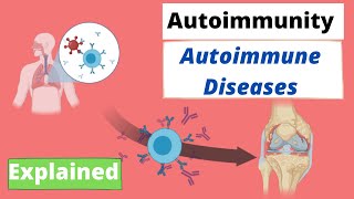 Autoimmunity Immunology  Autoimmune Disease and Immune Tolerance explained [upl. by Kamerman969]