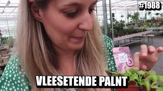 VLEESETENDE PLANT IN DE PLANTENWINKEL  JOLIEN EN JENNO VLOG 1988 [upl. by Yeliab]