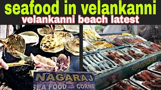 Velankanni popular seafood corner beach fish fry [upl. by Nnorahs]