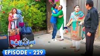 Bulbulay Season 2 Episode 229  Ayesha Omar amp Nabeel [upl. by Petrick387]