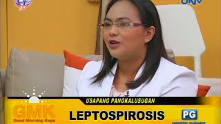 What is Leptospirosis [upl. by Betthel]