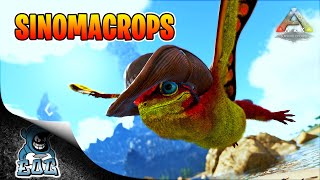 ARK Things You Didnt Know About Sinomacrops [upl. by Rraval647]