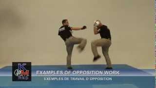 Krav Maga RED Research Evolution and Development [upl. by Haramat]