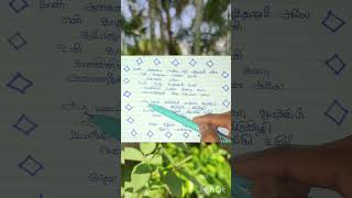 🥰Azhagu nee nadandhal🥰tamil vrlyricalsongs tamilsonglyrics tamilsong vrlyricalsongstamil love [upl. by Cecily175]