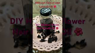 Hibiscus Flower Hair Growth Oilhairgrowthoilhairgrowthremedyhibiscusflowerhairgrowthhairtips [upl. by Secnarf446]