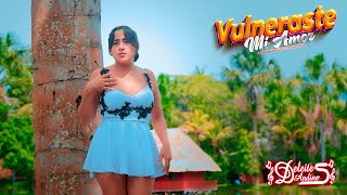 DELEITES ANDINOS  VULNERASTE MI AMOR  VIDEO CLIP OFICIAL 2024 [upl. by Elston]