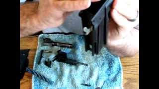 Sig Pro SP2340 SP2022 Assembly Sauer Short Trigger Disassembly Removal Installation 2 [upl. by Ginnie]