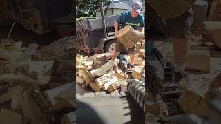 6 Ton Yard Works Electric Wood Spliter Review [upl. by Karim]