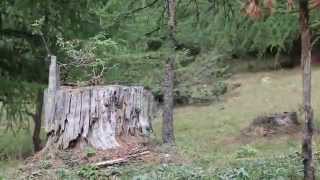 Bike park Serre Chevalier 2014 [upl. by Aissyla649]