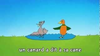 « Un canard a dit à sa cane »  Mister Toony [upl. by Selbbep993]