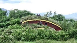 Something Amazing Is Growing On Our Green Roof [upl. by Lieberman]