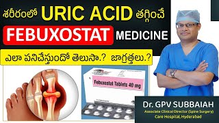 Febuxostat how it lowers blood URIC ACID levels amp precautions  Dr GPV Subbaiah [upl. by Harrat813]