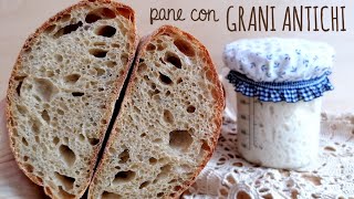 PANE con farina di GRANI ANTICHI [upl. by Daugherty]