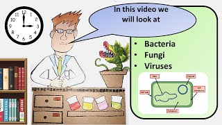 GCSE Biology Pathogens Revision [upl. by Ling]