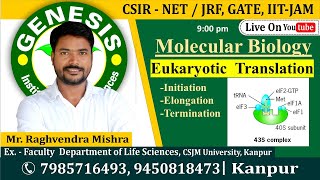 Eukaryotic Translation  Molecular Biology  CSIR NETJRF  Life science [upl. by Aihsekyw]