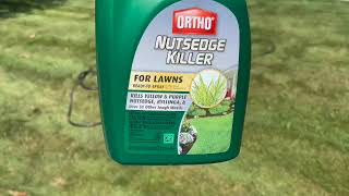 Effective Nutsedge Control How to Remove Nutsedge from Your Lawn [upl. by Vivica]