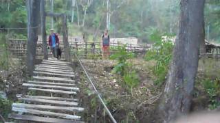 Rickety Bridge  Chiang Mai [upl. by Aiello]