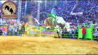 ¡¡TODAS LAS MONTAS DEL GALLITO DE MORELIA vs RANCHO LA MISION [upl. by De]