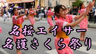 名桜エイサー 名護さくら祭り道ジュネー 令和５年１月２９日 【名桜エイサー】 [upl. by Ruprecht]