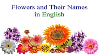 English Vocabulary  Flowers and their names in English  All Flowers names Vocabulary with Images [upl. by Zillah]