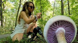 Wisconsin Mushroom Hunting amp Bike Rides [upl. by Golanka]