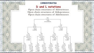 D and L notations  Open chain structures of Aldotetroses Aldopentoses Aldohexoses Carbohyrdates [upl. by Orman]