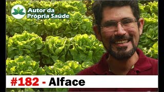 Autor da Própria Saúde  Alface  calmante ansiolítico insonia hipertensão herpes [upl. by Nylrac]