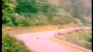 Niki Lauda Crash  Nürburgring 1976 [upl. by Eessej911]