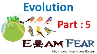 Biology Evolution part 5 Evidence of Evolution class 12 XII [upl. by Eesak]