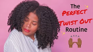 The PERFECT TWISTOUT Routine🌟ITS FOOLPROOF  Type 4 NATURAL HAIR [upl. by Scarlet263]