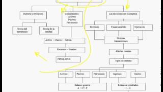 ESTADOS FINANCIEROS DE UNA EMPRESA ¿POR QUÉ ES IMPORTANTE ENTENDERLOS [upl. by Drallim]