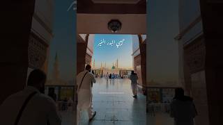 صلوا على الهادي البشير  عبد السلام حوى [upl. by Jaquelin114]