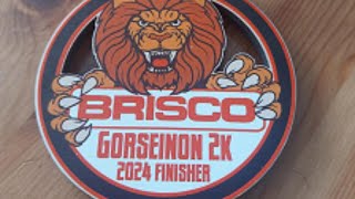 Brisco Gorseinon 10K amp 2K Family Fun Run [upl. by Nahtanoy]