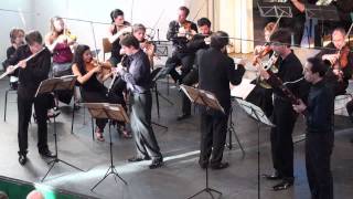 Mozart Concertante for flute oboe horn and basson KV297b 3rd movement [upl. by Werdnael]