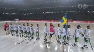 Hammarby  Sandviken 94  SMFinal 2013  HD [upl. by Ahsinyd]