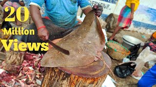 Stingray amp Ribbon Fish Cutting amp Chopping In Kasimedu Fish Market [upl. by Yttik]