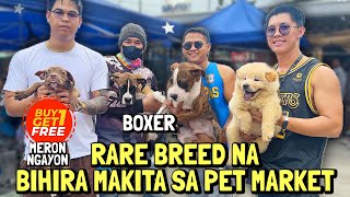 BUY 1 MAY BONUS PANG ISA  GROTTO PET MARKET UPDATE  JULY 21 2024 [upl. by Fugate176]