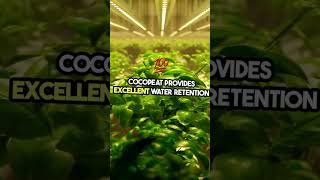 How to use Cocopeat the right way for Plants Mixing cocopeat with tricoderma perlite amp vermiculite [upl. by Naraa]