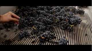 Chambleau jours de vendanges [upl. by Edra]