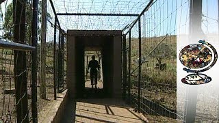 Families Divided by the MozambiqueSouth Africa Border 2000 [upl. by Mord]